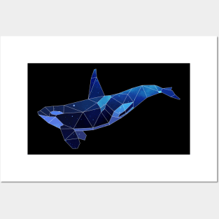 Galaxy Orcas Posters and Art